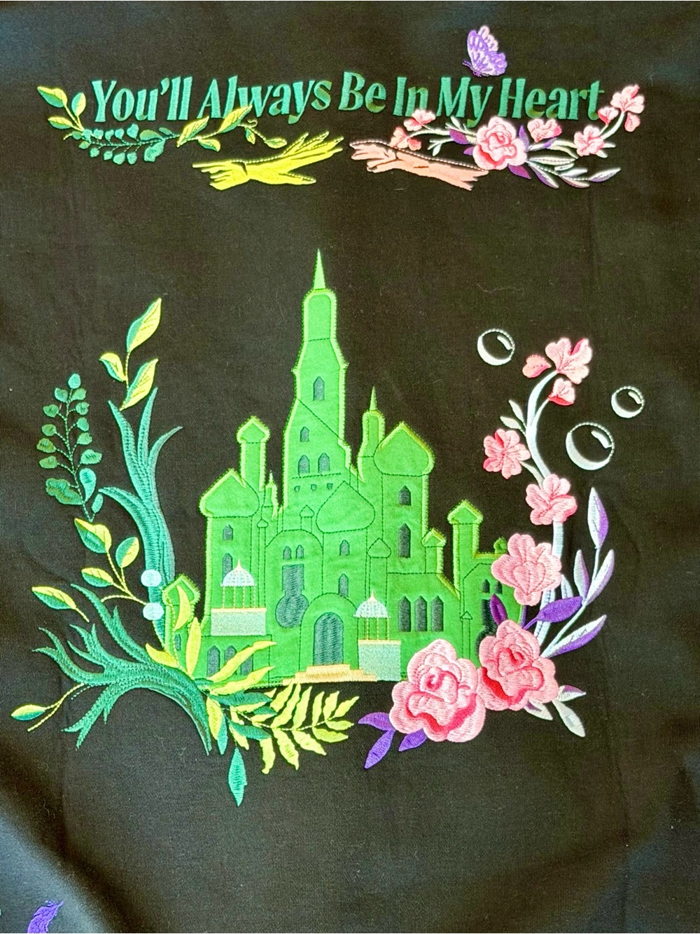 Her Universe Wicked Elphaba & Glinda Duo Embroidered Girls Hoodie - Picture 3 of 12